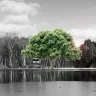 erikradbo