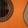 GuitarGeck